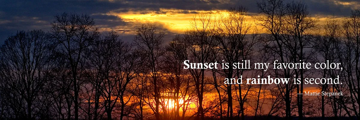 36x12 panaramic RCC Artwork22.jpg